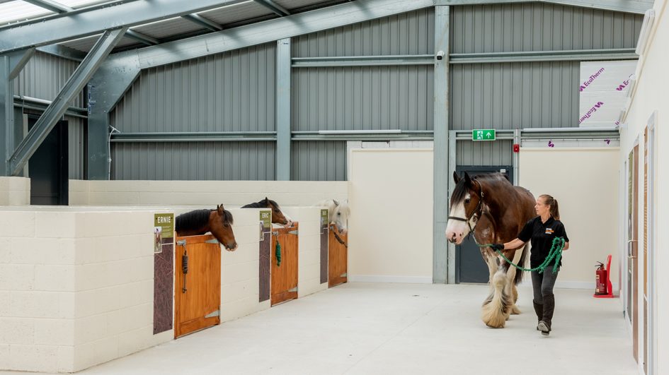 The new undercover stables will provide shelter for the museum's four animals